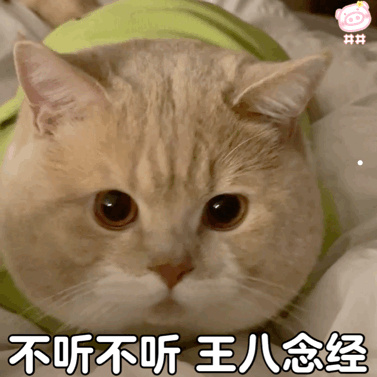 老猫电视剧抗日