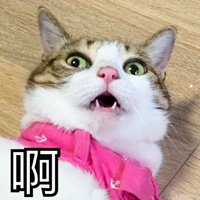 猫类有哪些品种
