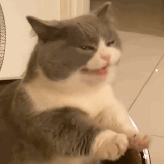 什么牌子的猫条比较好