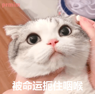500元