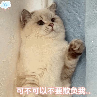 猫的性格特征和特点