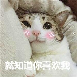 未来几年的养殖行业怎么样