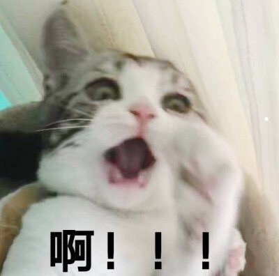 英短被暴打以后记仇吗