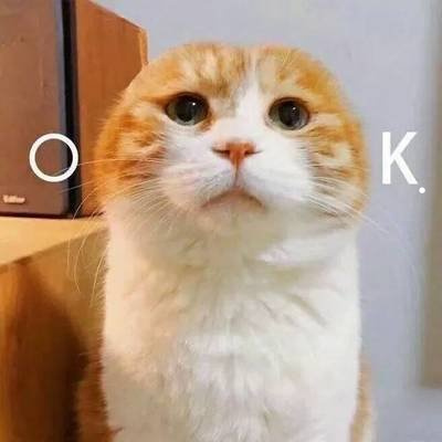 养猫后一到晚上皮肤痒