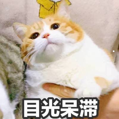 未来几年的养殖行业怎么样