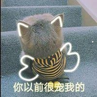 为什么有的猫不会喵喵叫