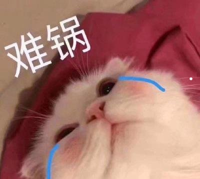 把猫崽全卖了猫妈妈会怎么样