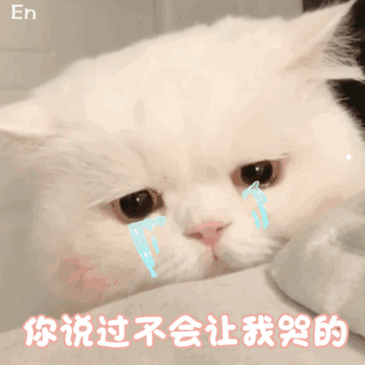养猫会对肺部有影响吗