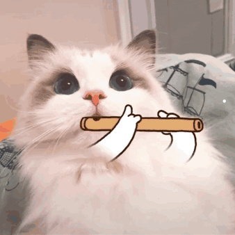 巴哥犬最怕的惩罚