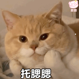 白色狗狗泪痕怎么去掉