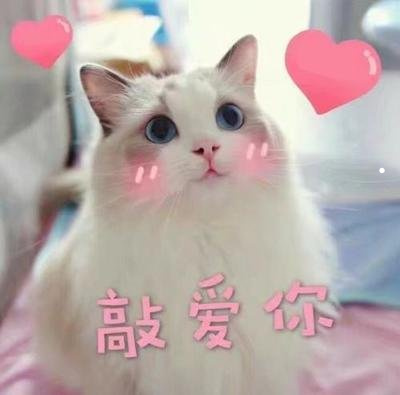 男人为啥喜欢别人家的老婆