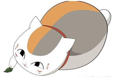 养鸟人一般都养什么鸟
