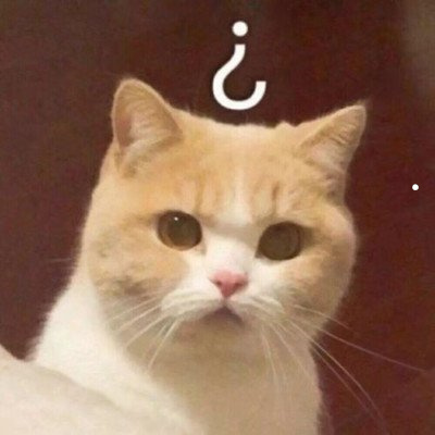 猫的各类品种