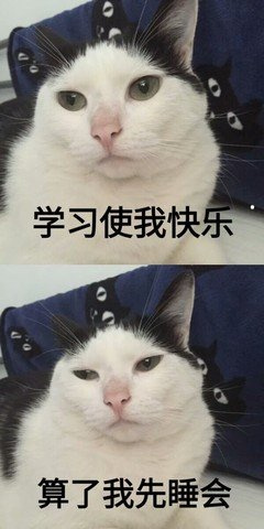 茶的分类品种及特点功效感受