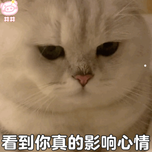 短视频推广的方法1500字