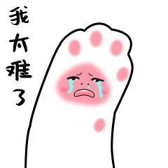 什么品种猫掉毛不严重