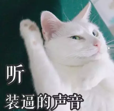 猫咪会和人有感情吗