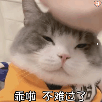猫没有狂犬病抓伤人会得狂犬病吗