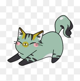 一只猫图片