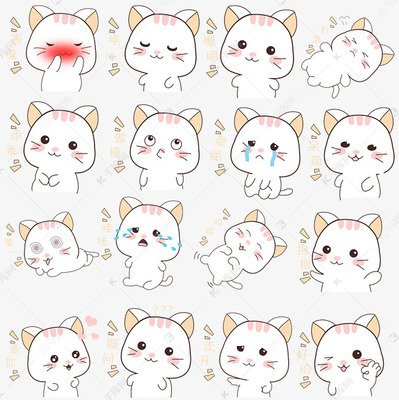 猫咖在中国的分布