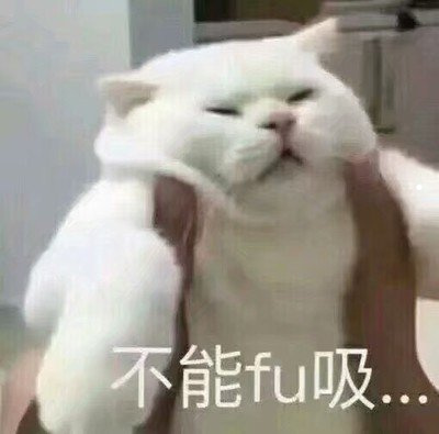白色蓝眼睛的猫有哪些品种
