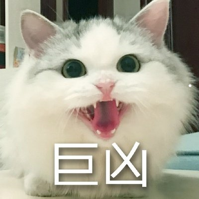 狗狗图片大全