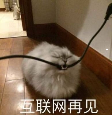 幼犬第一次驱虫用什么药