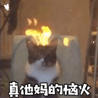 怀孕几天能查出来