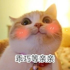 带状疱疹是怎么引起的