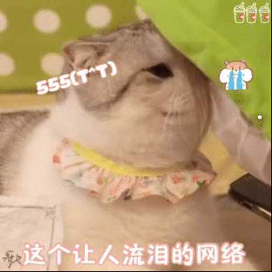 猫咪突然不跟主人睡了