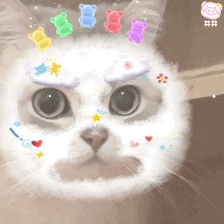 猫泌尿感染吃什么药