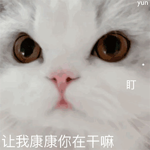 公龙猫会照顾小龙猫吗