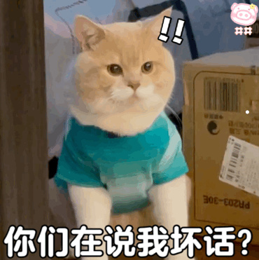 猫咪诊所网上咨询