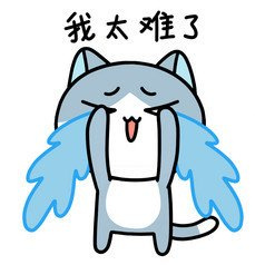 猫的文艺叫法