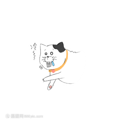 龙猫品相价格