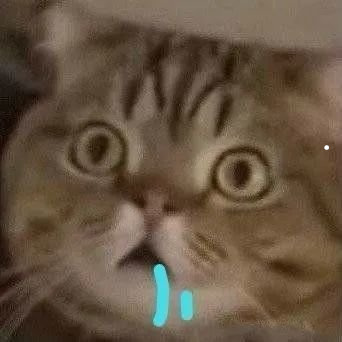 猫咪诊所网上咨询