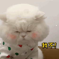 我家宠物不咬人