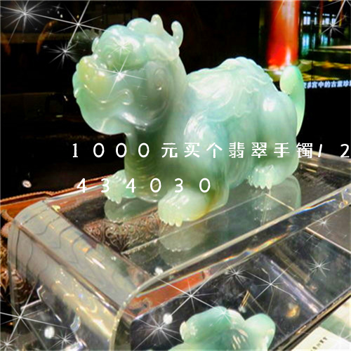 1000元买个翡翠手镯/2023031434030