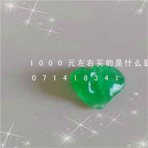 1000元左右买的是什么翡翠/2023071418341