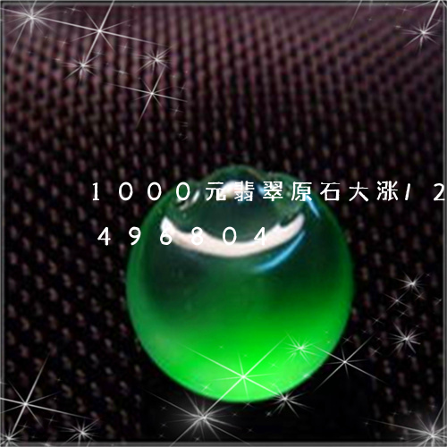 1000元翡翠原石大涨/2023031496804