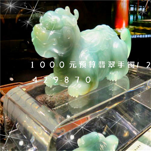 1000元预算翡翠手镯/2023031429870