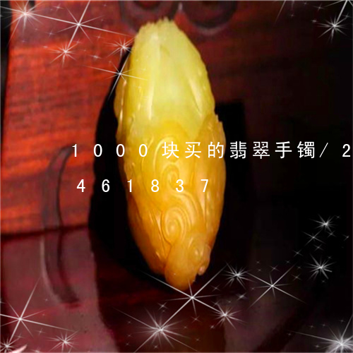 1000块买的翡翠手镯/2023031461837