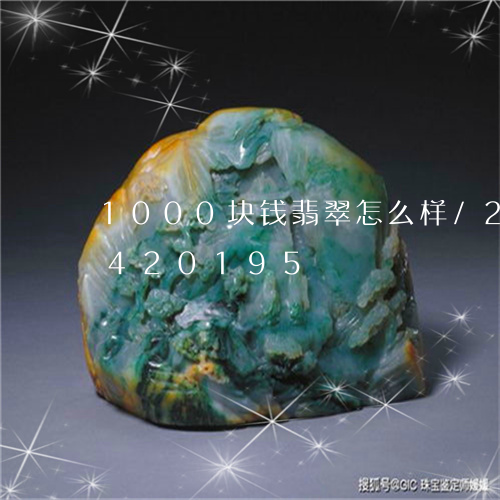 1000块钱翡翠怎么样/2023031420195