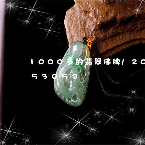 1000多的翡翠佛牌/2023120653052