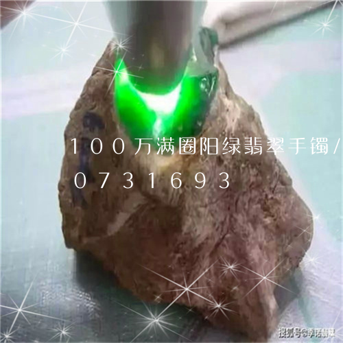 100万满圈阳绿翡翠手镯/2023110731693