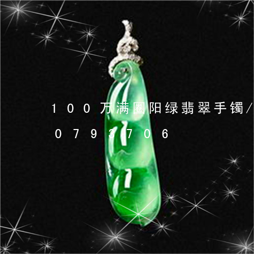 100万满圈阳绿翡翠手镯/2023110793706