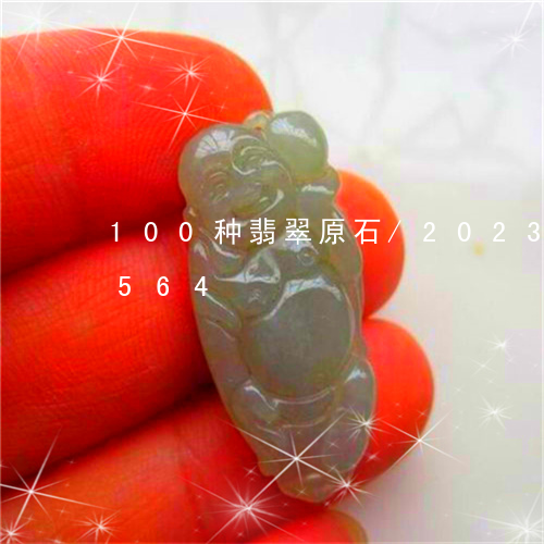 100种翡翠原石/2023042728564