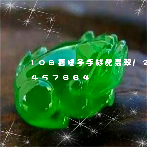 108菩提子手链配翡翠/2023031457884