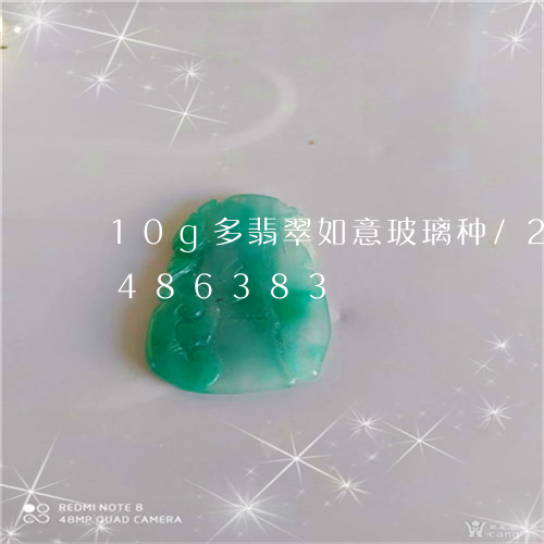 10g多翡翠如意玻璃种/2023031486383