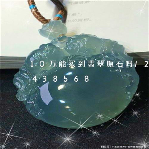 10万能买到翡翠原石吗/2023031438568